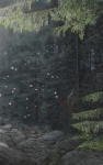 Wieland Payer, Dickicht, 2010, charcoal and pastel on paper on MDF, 160 x 100 cm