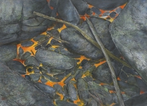 Wieland Payer, Boden, 2015, pastel and charcoal on MDF, 40 x 55 cm, Foto: Herbert Boswank