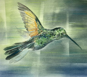 Kolibri-2023-Pastell-Aquarell-und-Tusche-auf-grundiertem-MDF-30x27cm