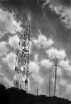 16.Antennenwald-100x70cm-Kohle-auf-Papier-2007