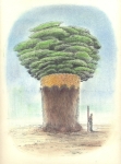 Baumartiger-V-Kohle-und-Pastell-auf-Papier-22x-31cm-2009klein