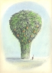 Baumartiger-VI-Kohle-und-Pastell-auf-Papier-22x-31cm-2009klein