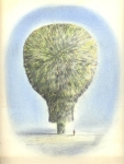 Baumartiger-VII-Kohle-und-Pastell-auf-Papier-22x-31cm-2009klein