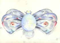 Falter-VII-Kohle-und-Pastell-auf-Papier-19x28cm-2009klein