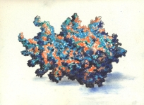 Mineral-II-Kohle-und-Pastell-auf-Papier-17x23cmklein