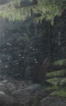 Dickicht-2010-Kohle-und-Pastell-auf-Papier-auf-MDF160x100cm