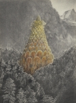 Pionier-III-2010-kohle-und-Pastell-auf-Papier-40x30cm