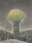 Pionier-IV-2010-Kohle-und-Pastell-auf-Papier-40x30cm