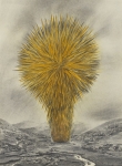 Pionier-IX-2010-Kohle-und-Pastell-auf-Papier-40x30cm