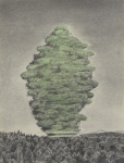 Pionier-VIII-2010-Kohle-und-Pastell-auf-Papier-40x30cm