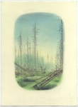Antenna-Forest-2011-pastel-pencil-and-charcoal-on-paper-37-x27-cm