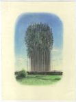 Fata-Morgana-2011-37-x27-cm-Kohle-und-Pastell-auf-Papier