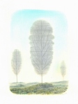 Solar-2011-pastell-and-pencil-on-paper-30-x34-cm