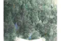 Clearance-2011.-Lithography-56-x43-cm-Edition-20