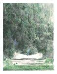 Clearance-2011.-Lithography-56-x43-cm-Edition-20
