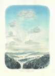 Gespinnst-2012-Pastell-Kohle-und-Bleistift-auf-Papier-42-x-32cm