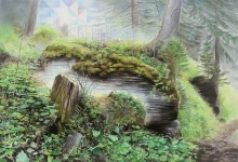 Surses-2013-pastel-and-charcoal-on-paper-on-MDF-90-x-130-cm