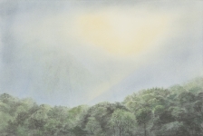 Auge-2014-40-x60-cm-Pastell-und-Kohle-auf-Papier-auf-MDF