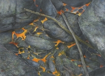 Payer, Wieland: Boden;  2015, Pastell und Kohle auf MDF,  400 x 550 mm,     Foto: Herbert Boswank