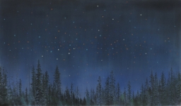 Payer, Wieland: Sky;   2015, Pastell und Kohle auf MDF,  700 x 1200 mm,     Foto: Herbert Boswank