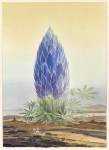 Payer, Wieland:  Marsianer IV; 2021,  Pastell und Aquarell auf Fabriano Bütten, 34 x 24 cm    Foto: Herbert Boswank