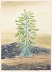 Payer, Wieland:  Marsianer V; 2021,  Pastell und Aquarell auf Fabriano Bütten, 34 x 24 cm     Foto: Herbert Boswank