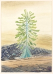 Payer, Wieland:  Marsianer V; 2021,  Pastell und Aquarell auf Fabriano Bütten, 34 x 24 cm     Foto: Herbert Boswank