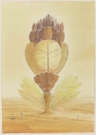 Payer, Wieland:  Marsianer VII; 2021,  Pastell und Aquarell auf Fabriano Bütten, 34 x 24 cm       Foto: Herbert Boswank