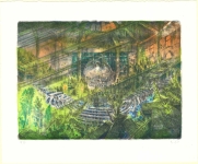 Parlament-II-2024-Farblithografie-auf-Arches-Buetten55x45cm-Kopie