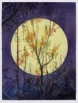 Payer, Wieland: Quest 6; 2025, Pastell, Aquarell, Kohle und Bleistift auf Papier,  470 × 360 mm,     Foto: Herbert Boswank